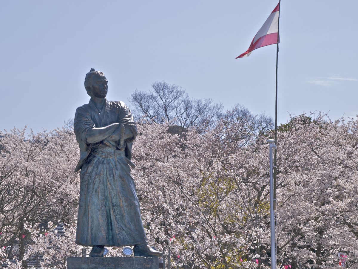 風頭公園の桜と坂本龍馬像（Cherry blossoms and the statue of Ryoma Sakamoto in Kazegashira Park）