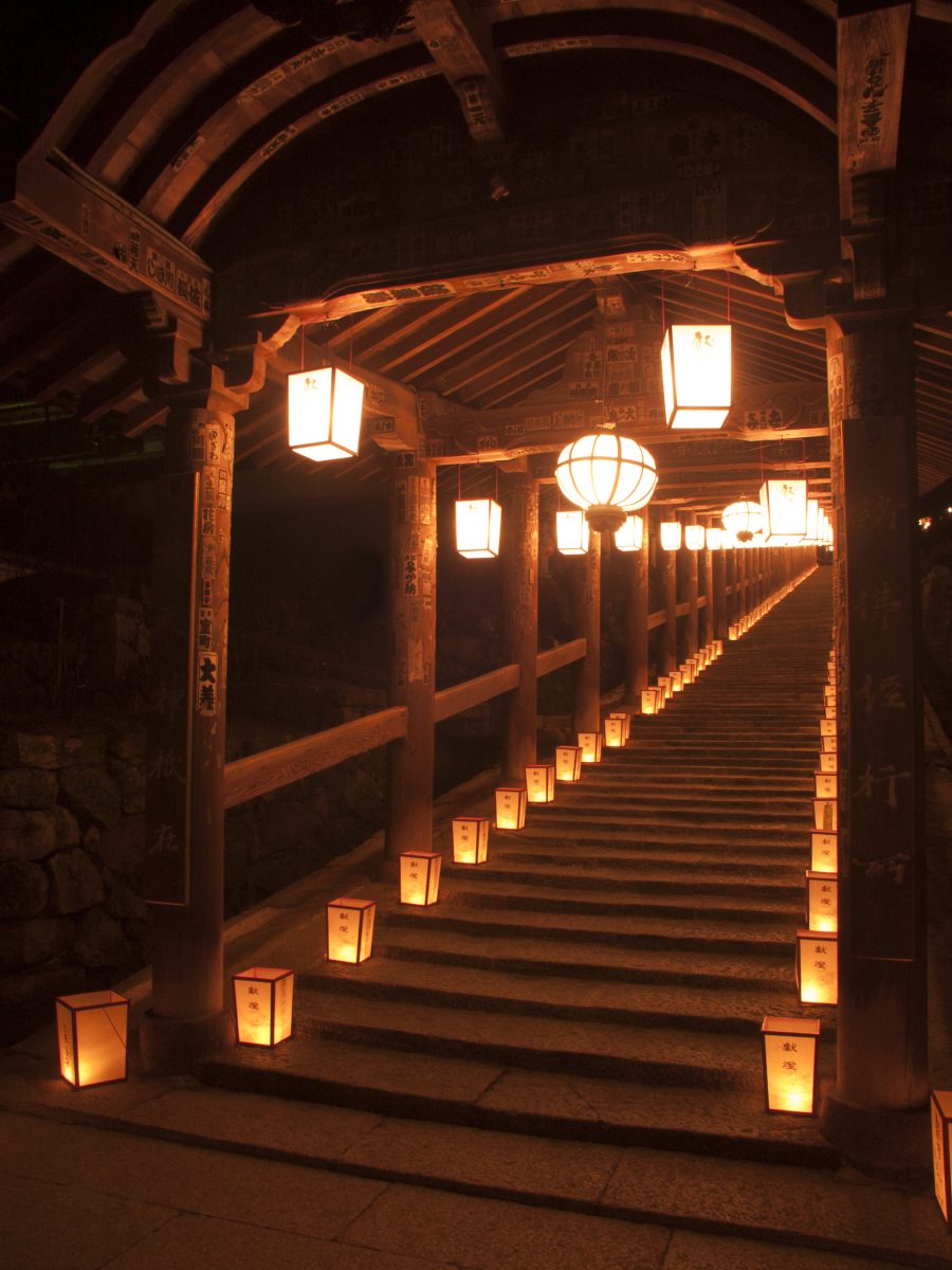 提灯の光に包まれる参道（the pathway to the temple draped in light of lanterns)