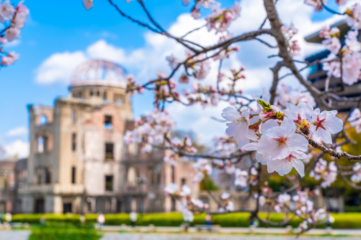 桜と原爆ドーム（Cherry Blossoms and A-Bomb Dome）