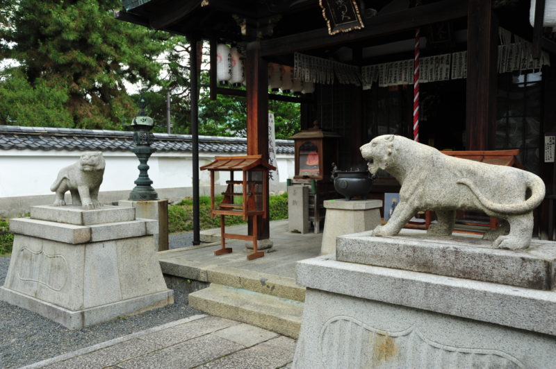建仁寺の毘沙門天堂（Guardian Tigers of Kenninji Temple）