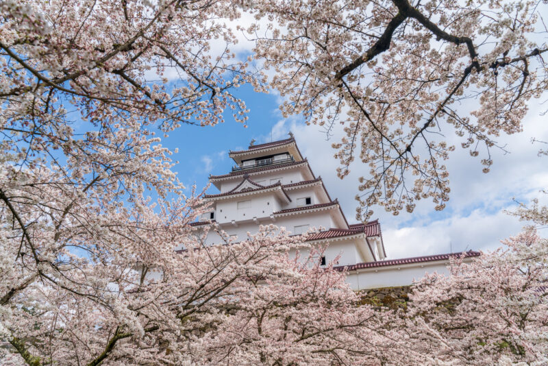 4月中旬が桜の見頃！会津若松駅より周遊バス「あかべえ」で巡れる、歴史的スポット3選