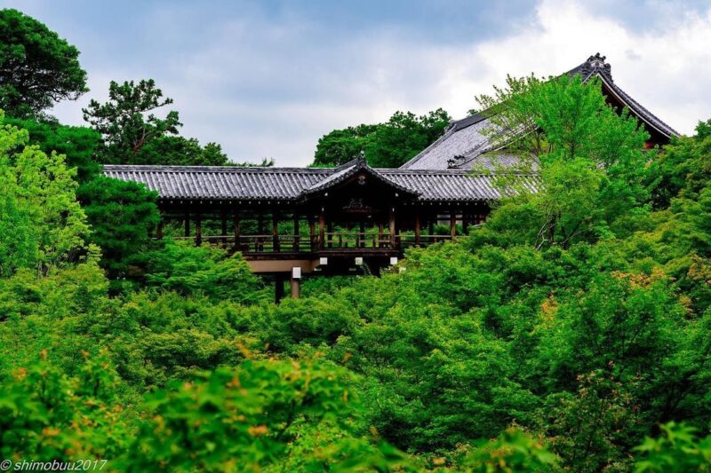 新緑に覆われた東福寺（Tofukuji Temple covered with fresh green）