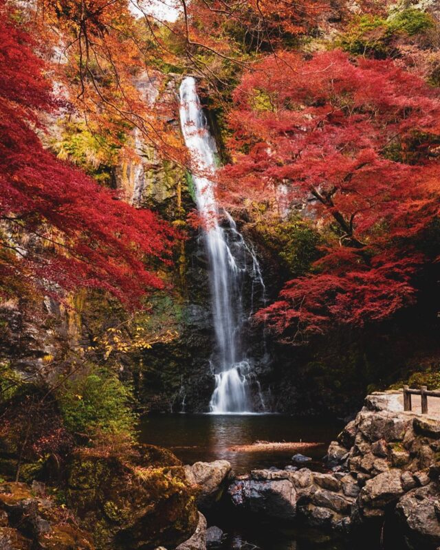 箕面大滝(Mino Waterfall)