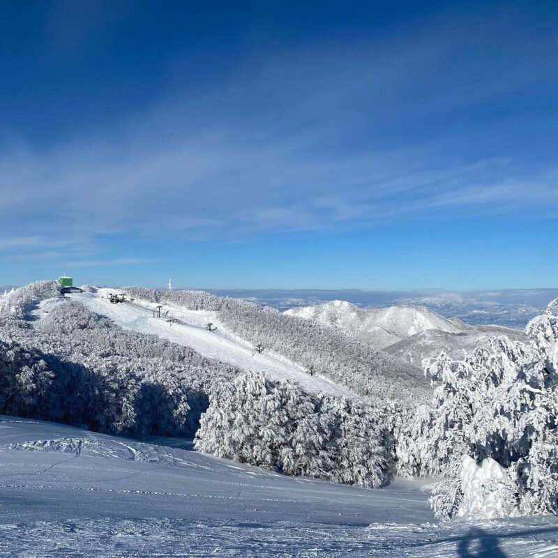 蔵王温泉スキー場（Zao Onsen Ski Resort）