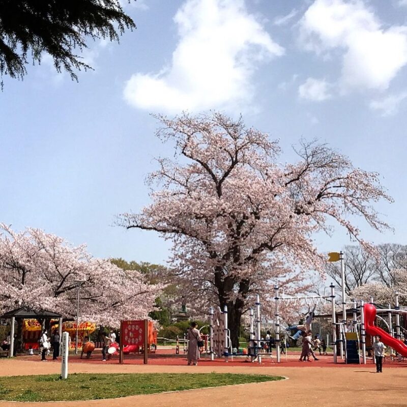 松ケ丘公園（Matsugaoka Park）