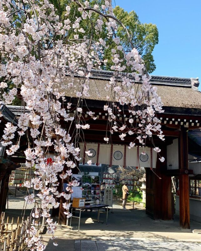 平野神社（Hirano Shrine）