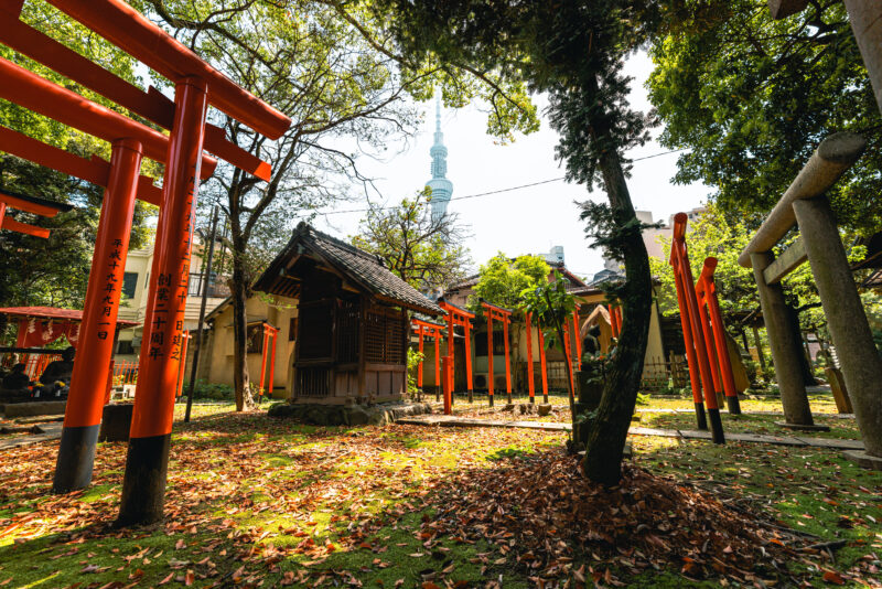 三囲神社（Mimeguri Shrine）2
