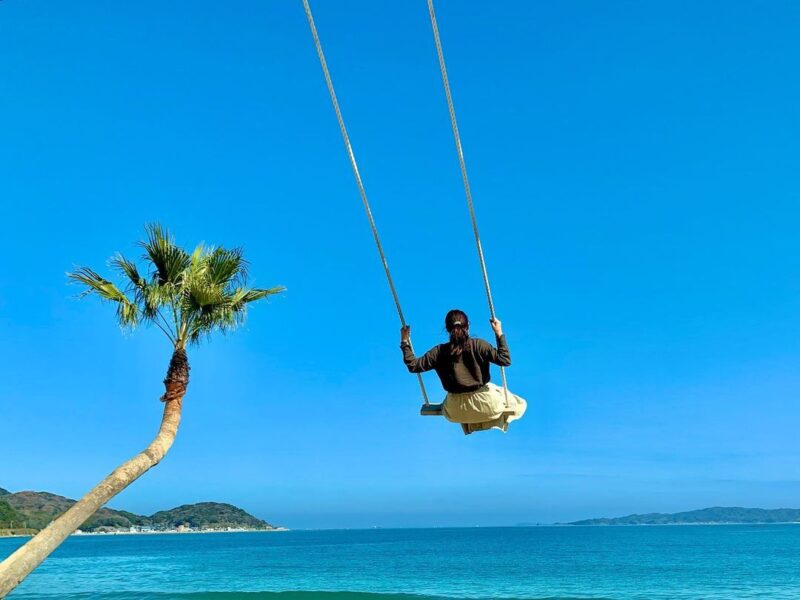 ヤシの木ブランコ（Palm Tree Swing）