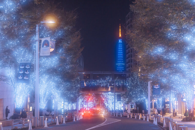 約80万もの白と青のLEDライトが点灯。東京タワーとの共演も楽しめる「けやき坂イルミネーション」