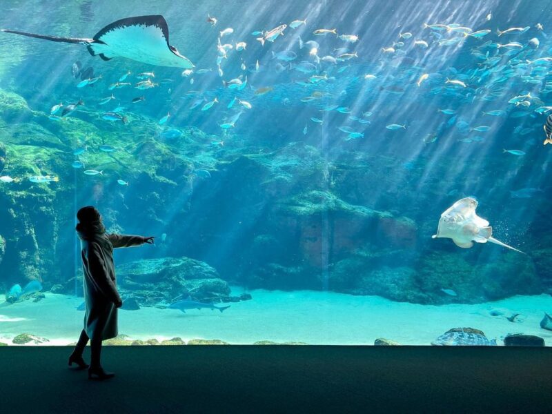 海きらら（Umi Kirara Aquarium）