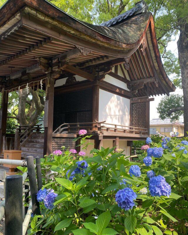 藤森神社２（Fujimori Shrine）