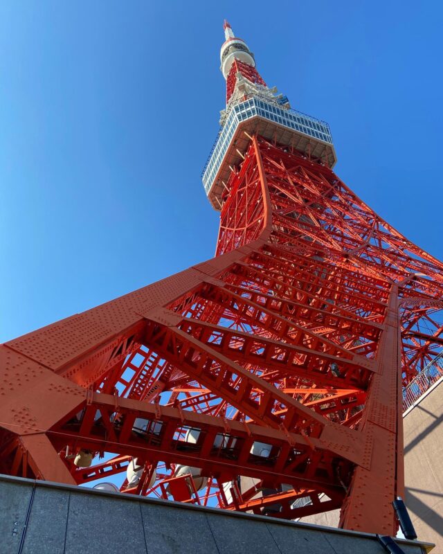 街並みが見えるちょうどいい高さ。「東京タワー」の展望台から東京の”今”を眺める