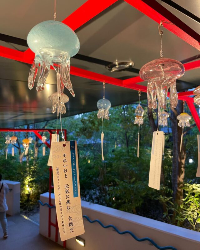 約170個のクラゲ風鈴が風に舞う。期間限定イベントが盛りだくさん「京都水族館」