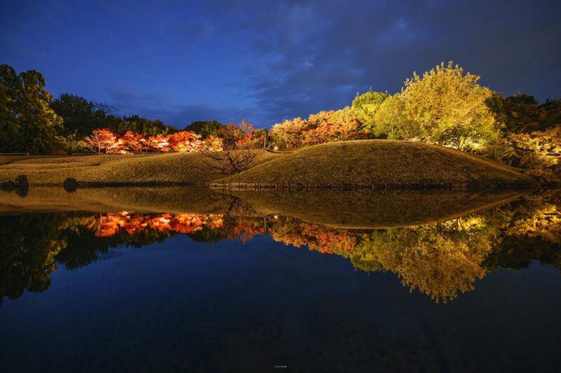ライトアップでより幻想的な景観に。水面に映り込む紅葉に見惚れる「梅小路公園・朱雀の庭」