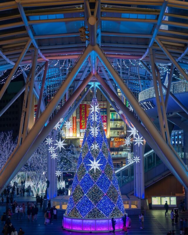 光の街・博多（Christmas lights in Hakata, the City of Light）