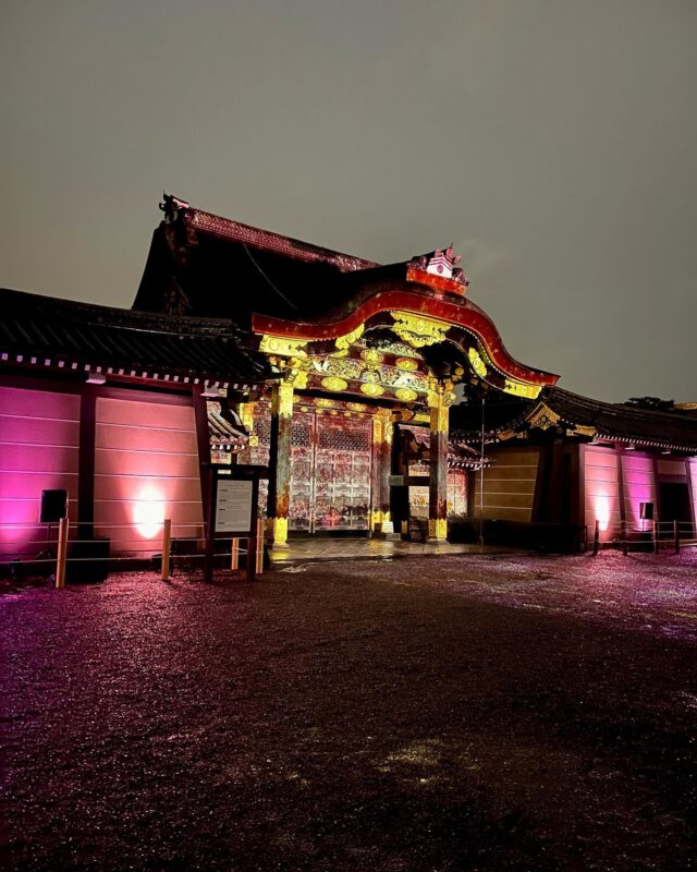 二条城桜まつり（Nijo Castle Sakura Festival）