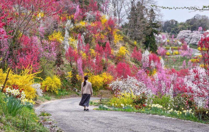 花やしき公園（Hanayashiki Park）