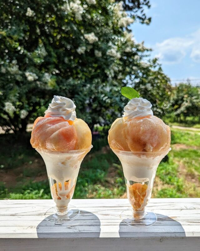 桃の名産地・福島でこの夏食べたい人気のひんやり桃スイーツ