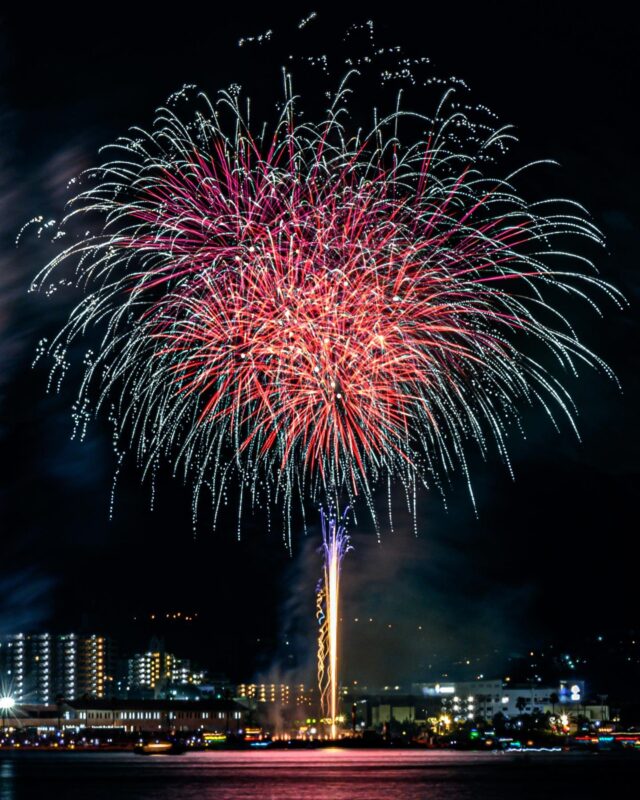 泉州夢花火（The Senshu Dream Fireworks）