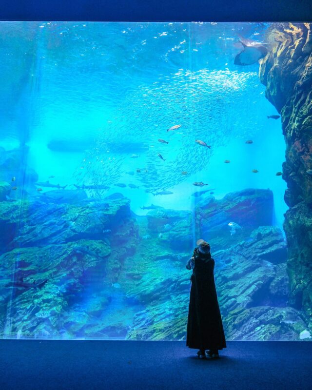 夏休みのおでかけにおすすめ！「仙台うみの杜水族館」で海の世界を冒険しよう