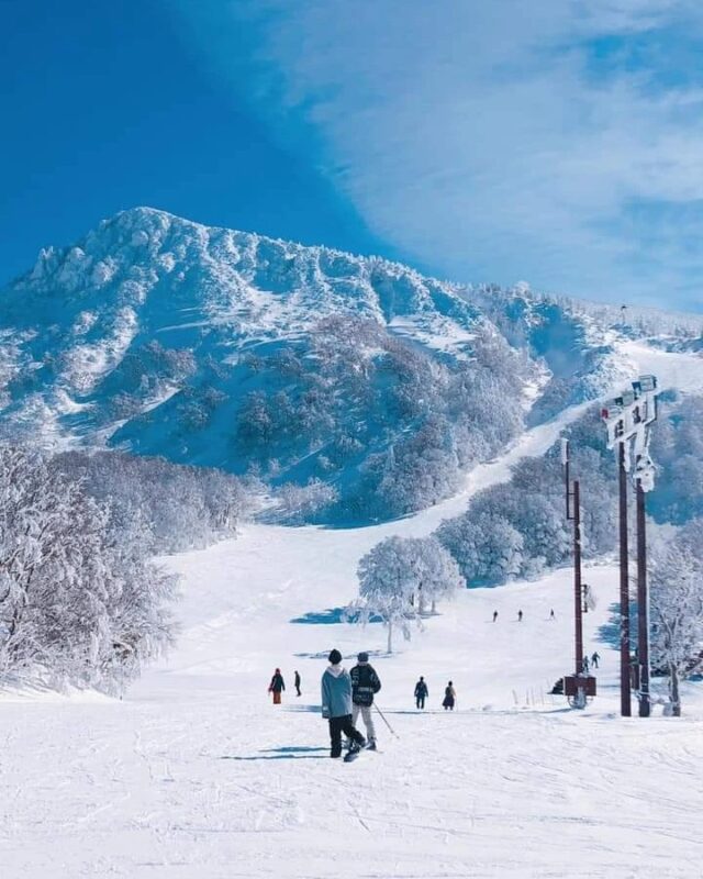 蔵王温泉スキー場（Zao Onsen Ski Resort）