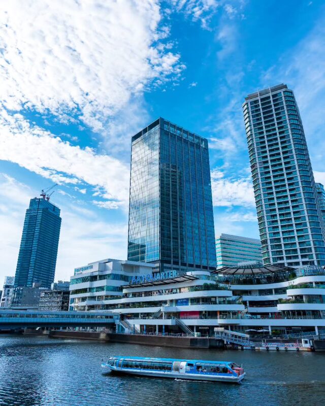 横浜シーバス(Yokohama Sea Bass)