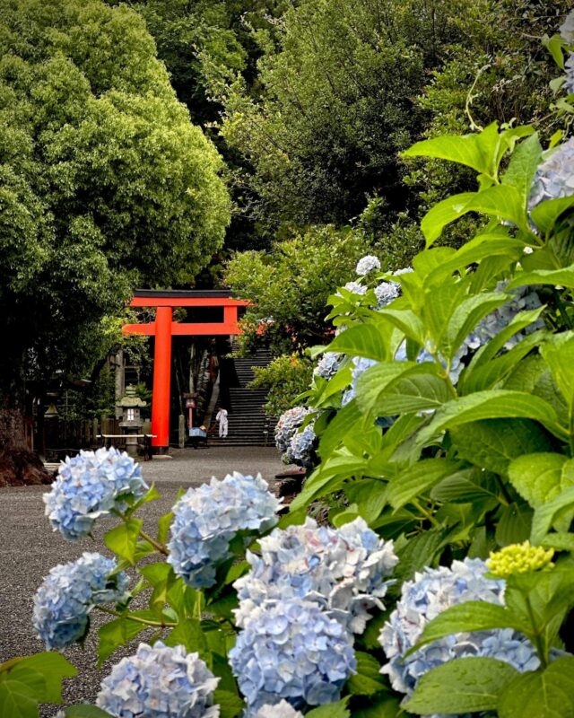 吉田神社(Yoshida Shrine)