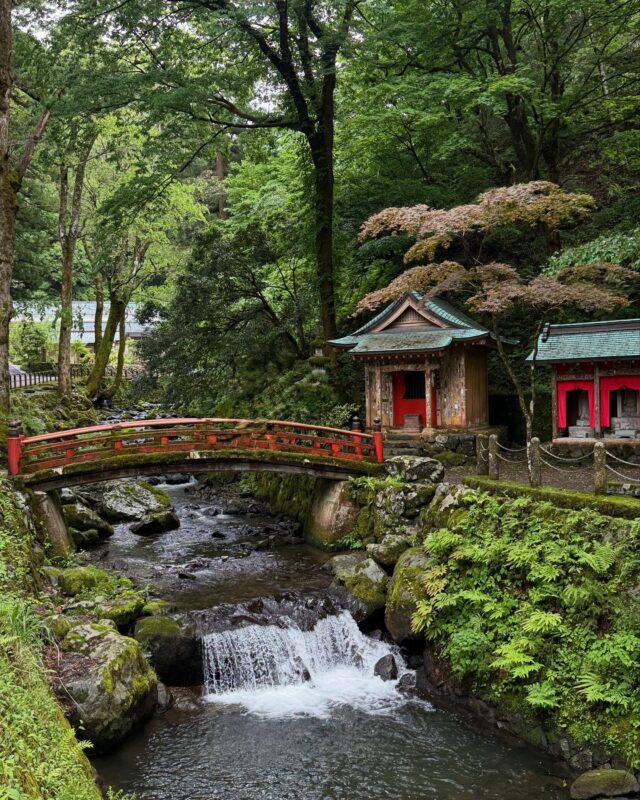 永平寺（Eiheiji Temple）