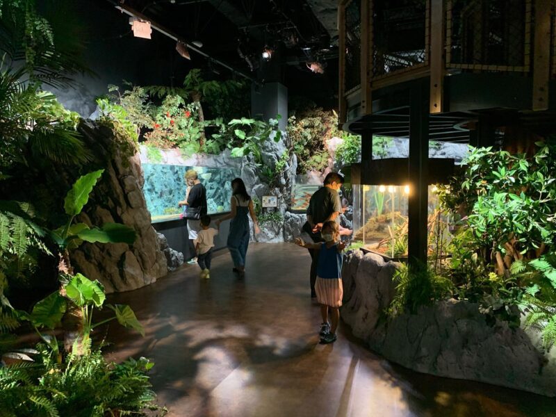 STEM RESORT - 創造的遊場 -