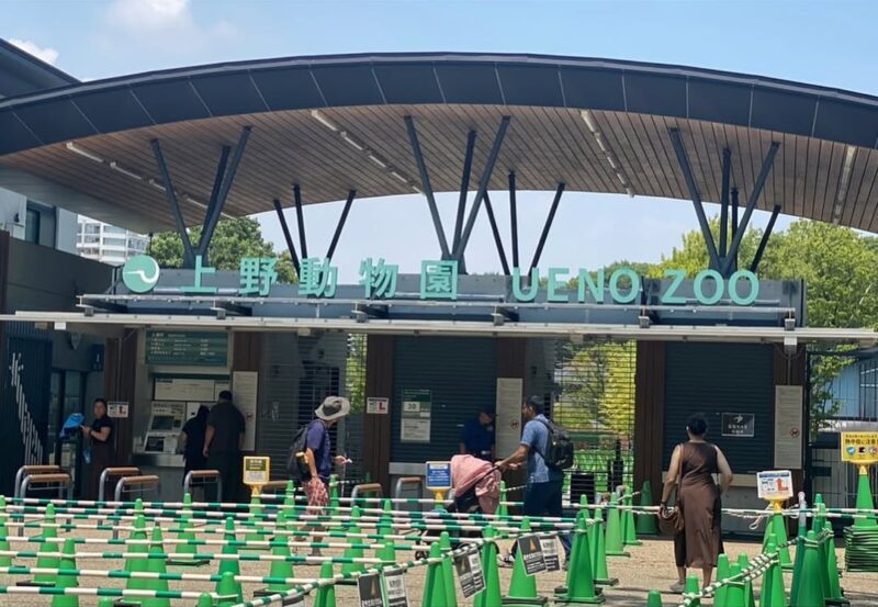 See the Pandas at Ueno Zoo Before They Return to China!