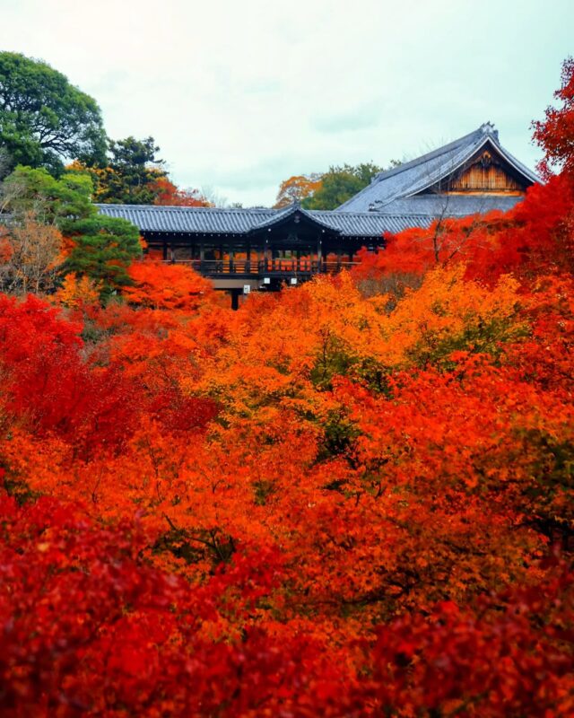 東福寺(Touhukuji temple)