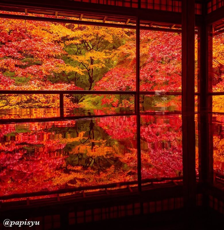 瑠璃光院(Rurikouinn)