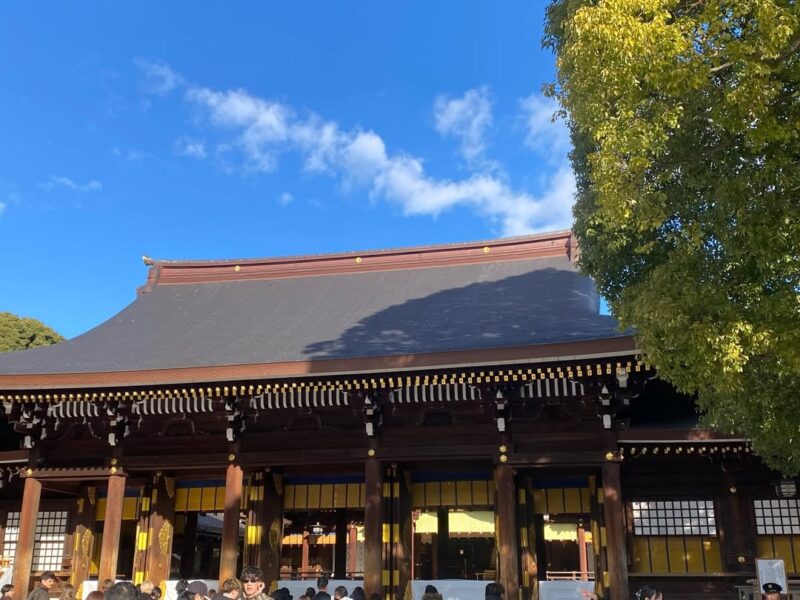 ホワイトデーおすすめスポット。夫婦楠を見に行く明治神宮デート