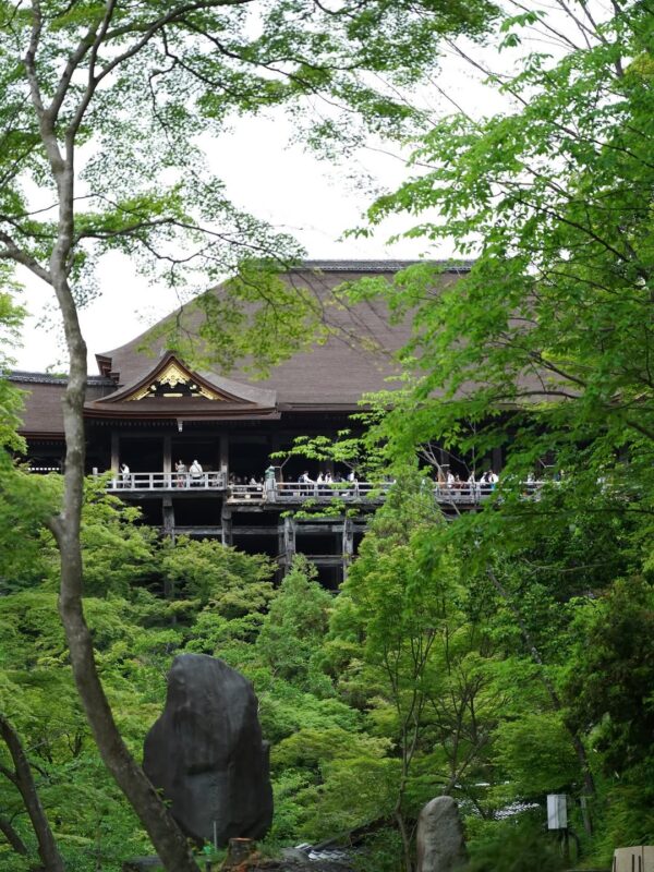 Enjoy Golden Week in Kyoto: The Kiyomizu Stage Surrounded by Lush Greenery