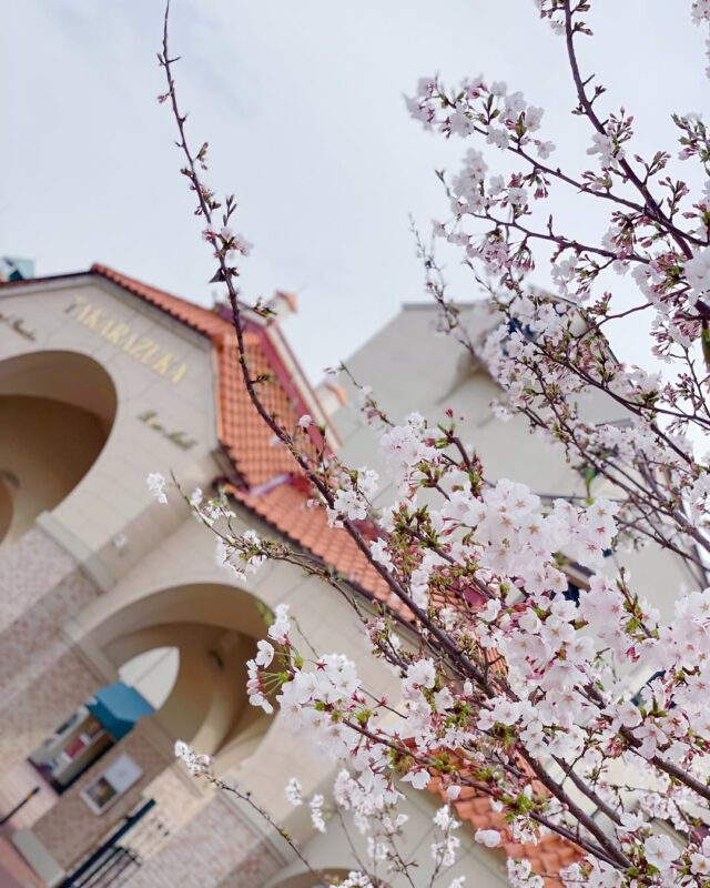 宝塚観劇と一緒に楽しむ。宝塚周辺のお花見スポット3選