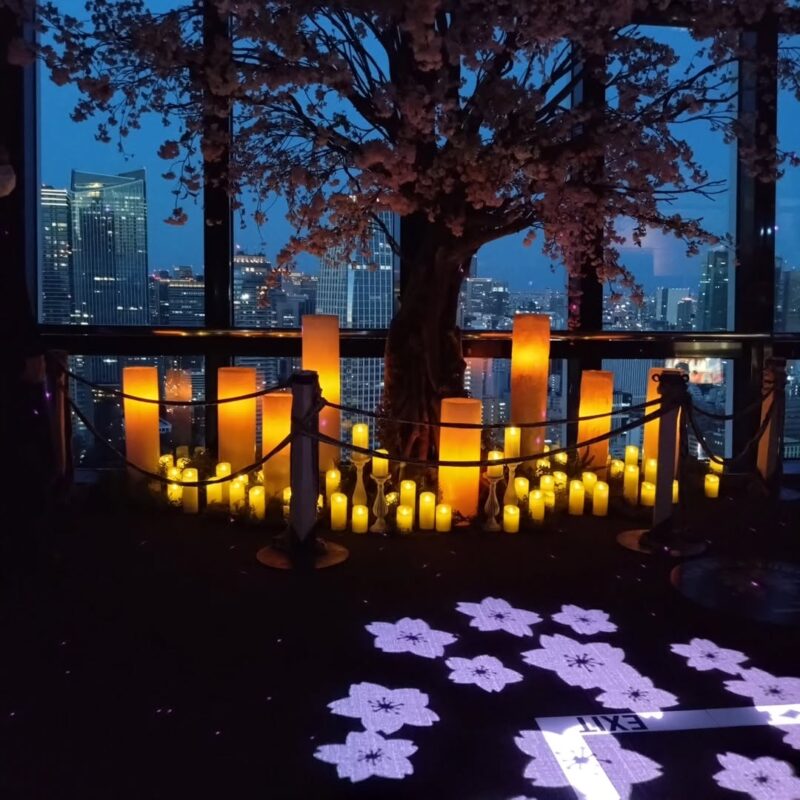 Enjoy Spring Nights with Tokyo Tower’s “Cherry Blossom Mapping” Show
