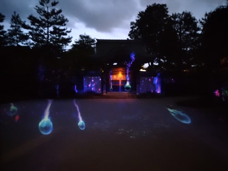 夜の京都を幻想的に彩る。高台寺「東山観月路」